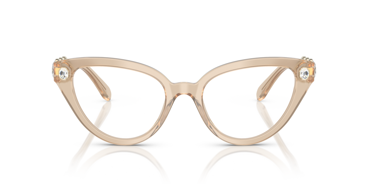Gafas de Sol Swarovski SK2028 1066 53 19