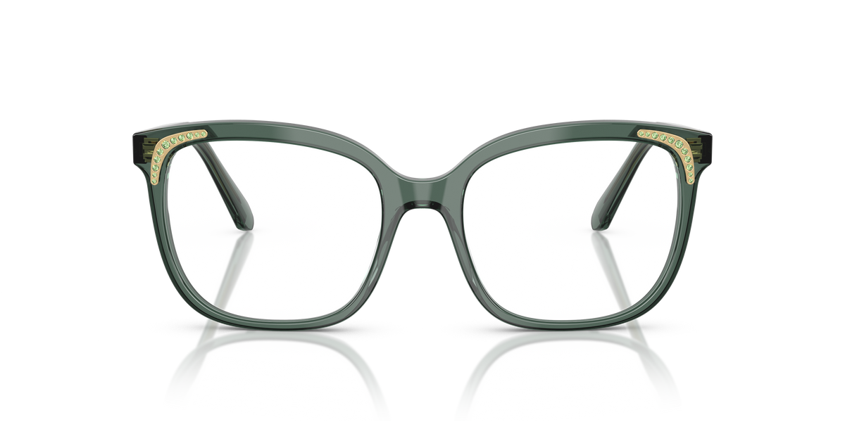 Gafas de Sol Swarovski SK2033 1043 54 18
