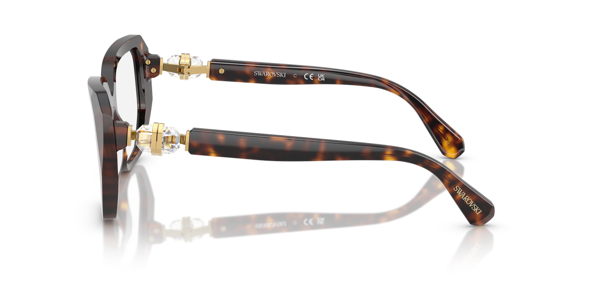 Gafas de Sol Swarovski SK2035 1002 53 17