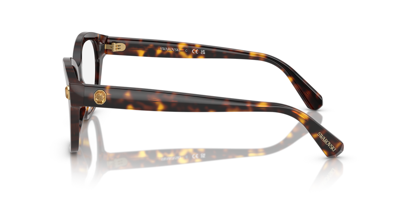 Gafas de Sol Swarovski SK2038 1002 51 19