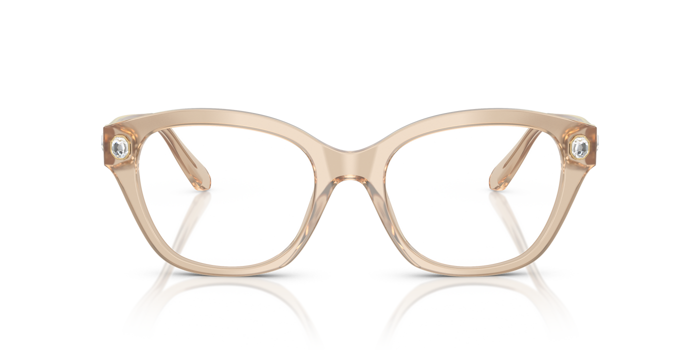 Gafas de Sol Swarovski SK2038 1034 51 19