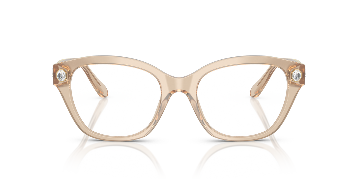 Gafas de Sol Swarovski SK2038 1034 53 19