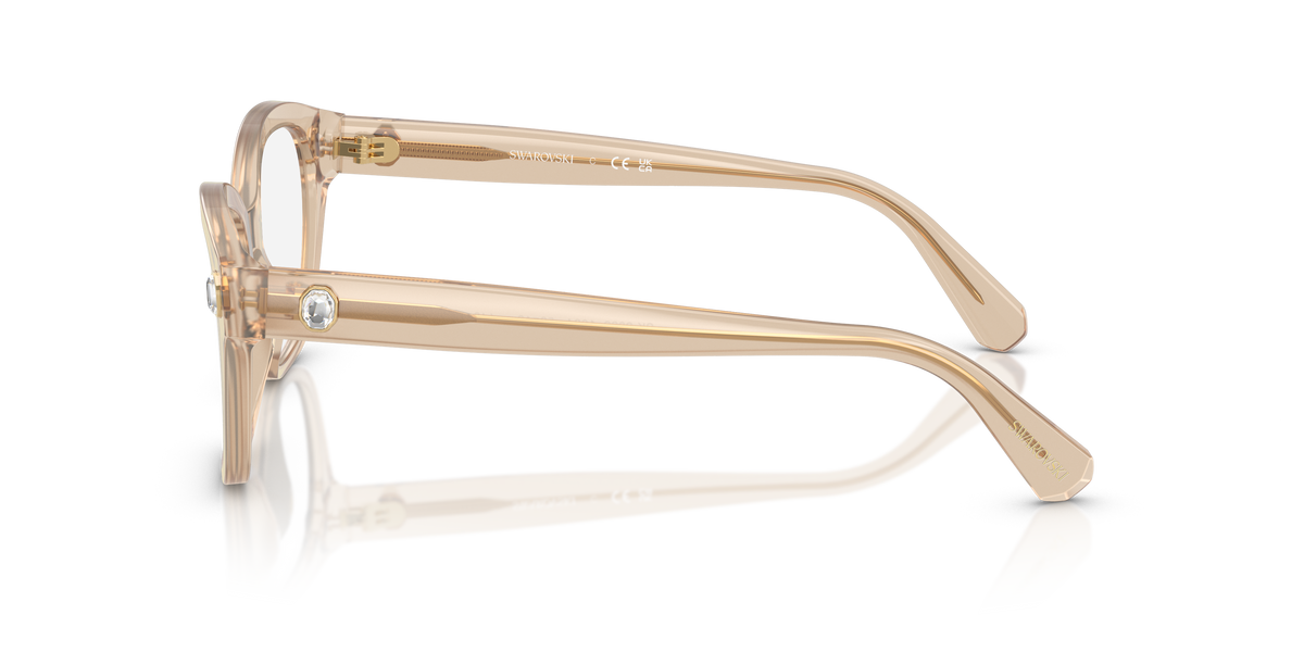 Gafas de Sol Swarovski SK2038 1034 53 19
