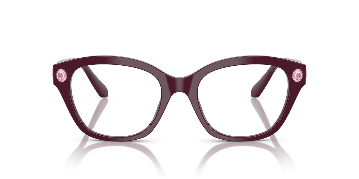 Gafas de Sol Swarovski SK2038 1044 53 19