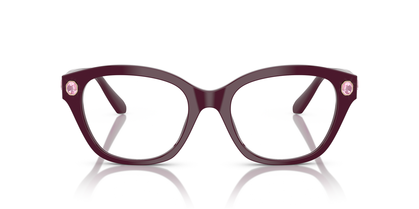 Gafas de Sol Swarovski SK2038 1044 51 19