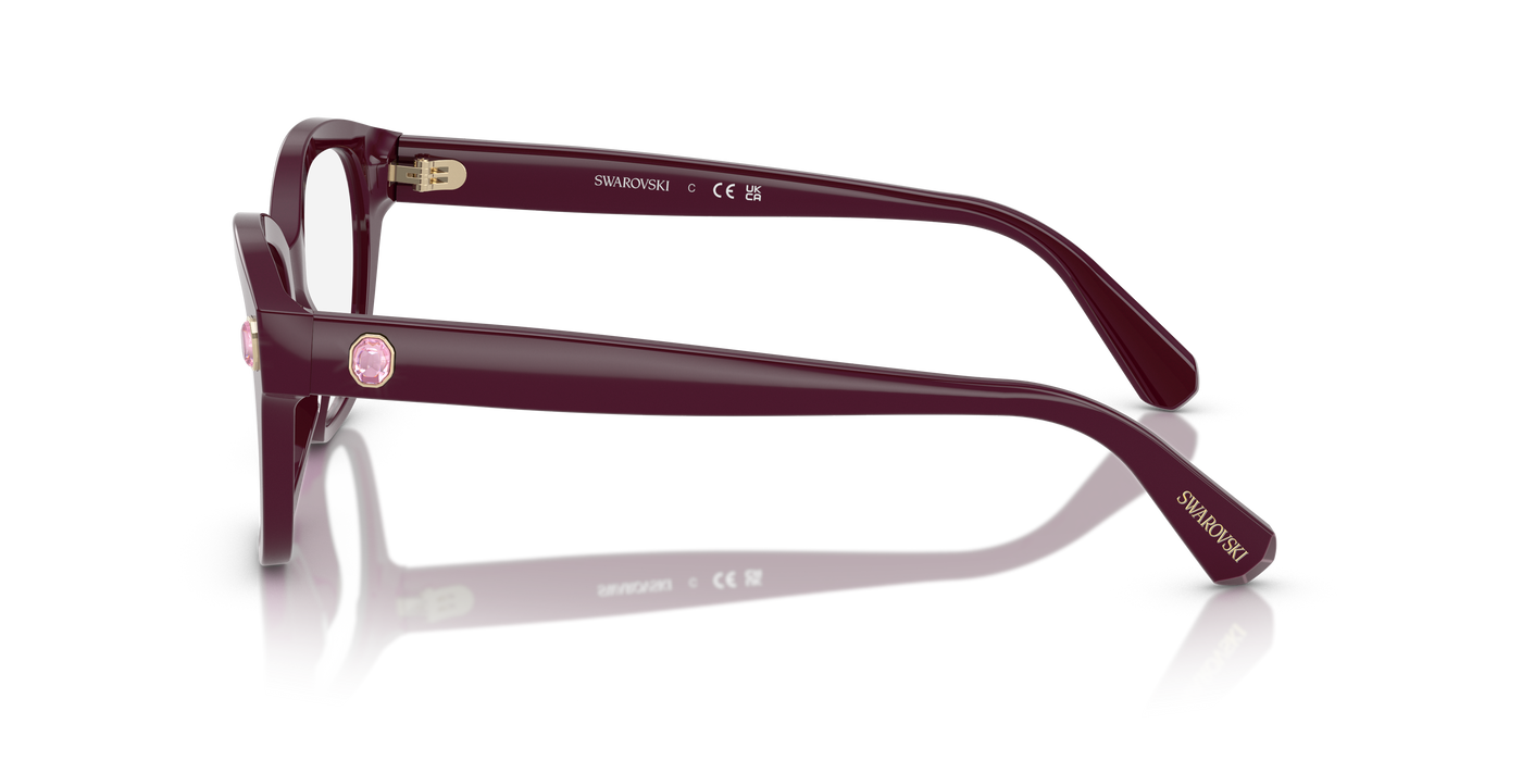 Gafas de Sol Swarovski SK2038 1044 51 19