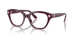 Gafas de Sol Swarovski SK2038 1044 51 19