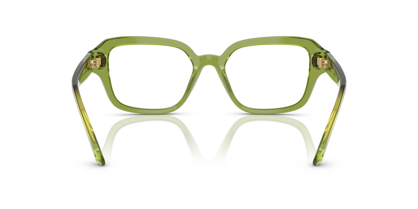Gafas Graduadas Swarovski SK2039 3002 52 18
