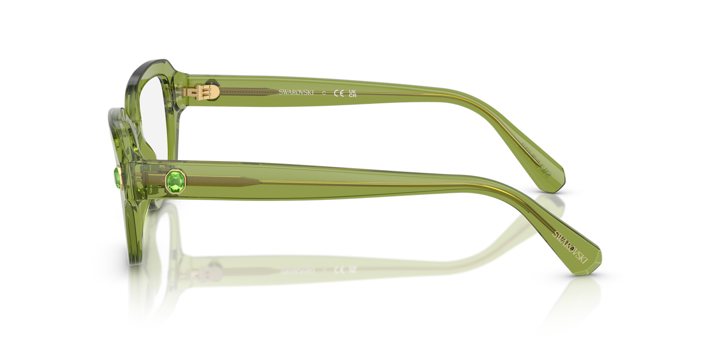 Gafas Graduadas Swarovski SK2039 3002 50 18
