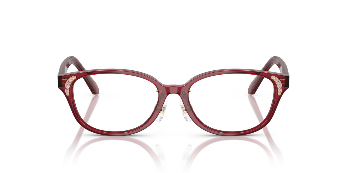 Gafas de Sol Swarovski SK2040D 1055 52 16
