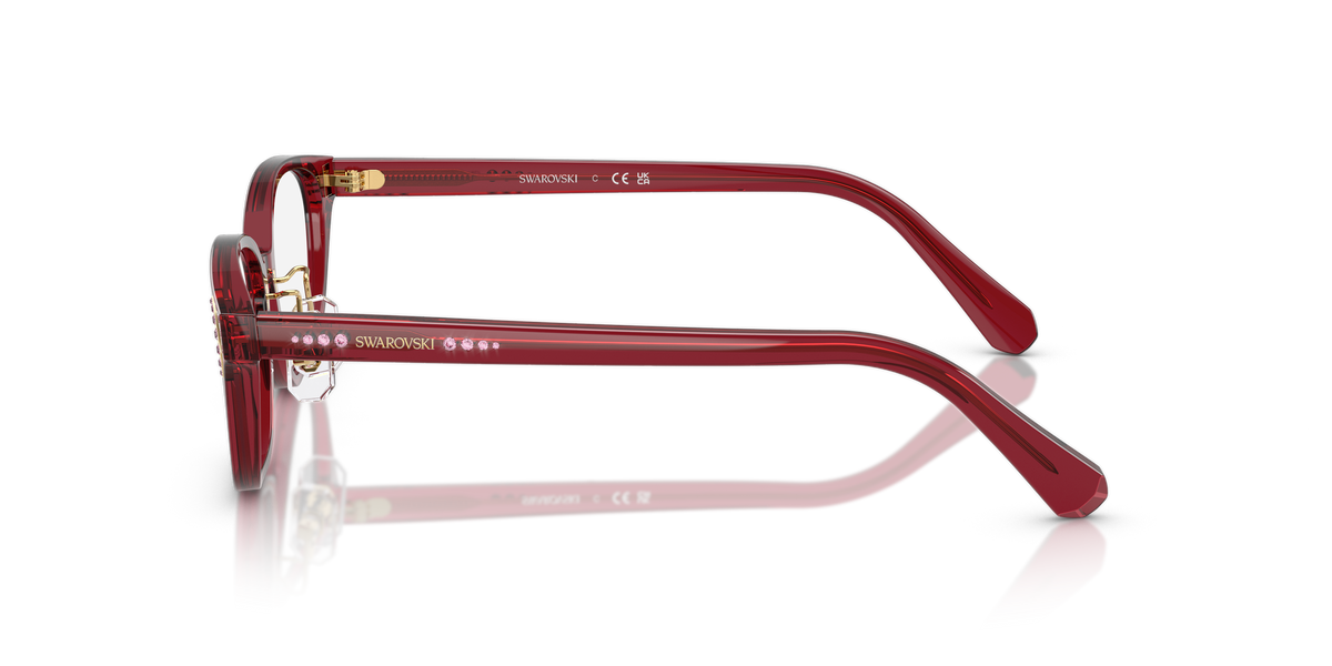 Gafas de Sol Swarovski SK2040D 1055 52 16
