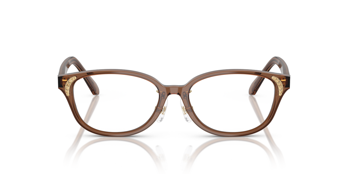 Gafas de Sol Swarovski SK2040D 1067 52 16