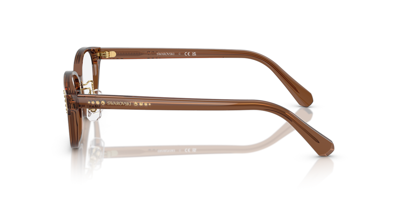 Gafas de Sol Swarovski SK2040D 1067 52 16