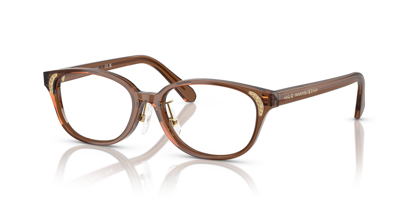 Gafas de Sol Swarovski SK2040D 1067 52 16