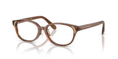 Gafas de Sol Swarovski SK2040D 1067 52 16