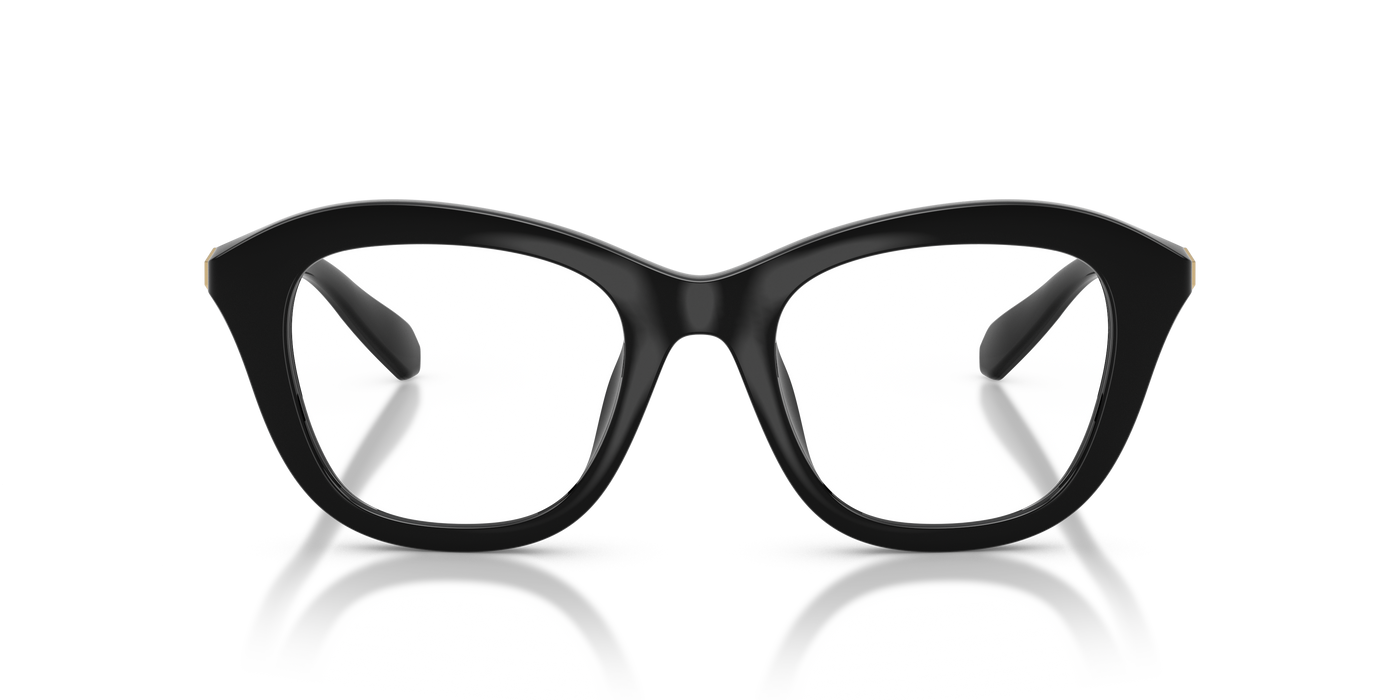 Gafas de Sol Swarovski SK2042U 1001 48 20