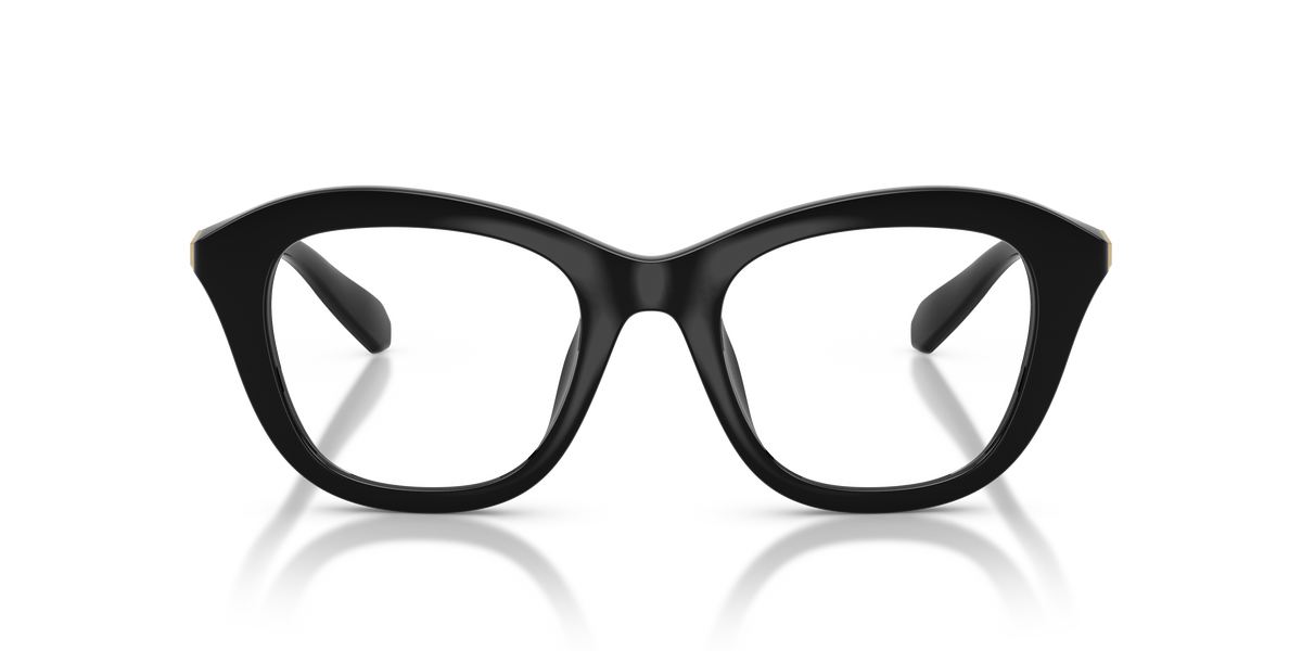 Gafas de Sol Swarovski SK2042U 1001 48 20