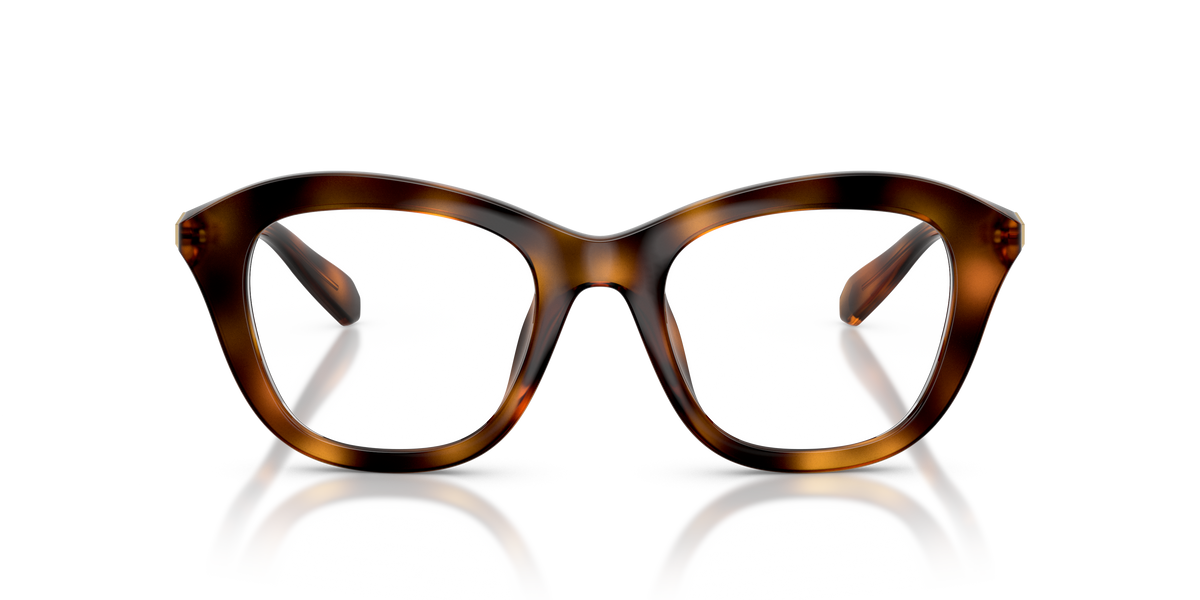 Gafas de Sol Swarovski SK2042U 1002 50 20