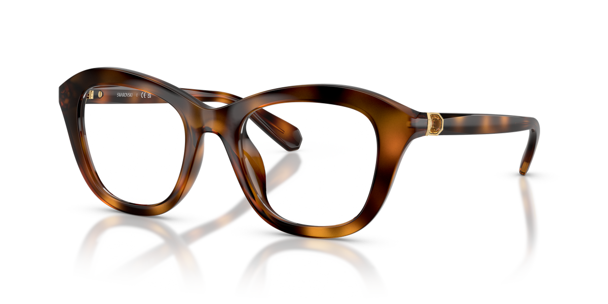 Gafas de Sol Swarovski SK2042U 1002 50 20