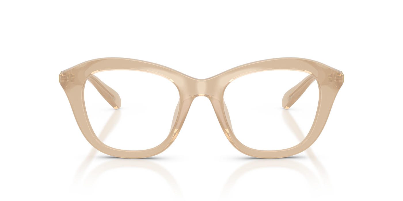 Sunglasses Swarovski SK2042U 1034 48 20