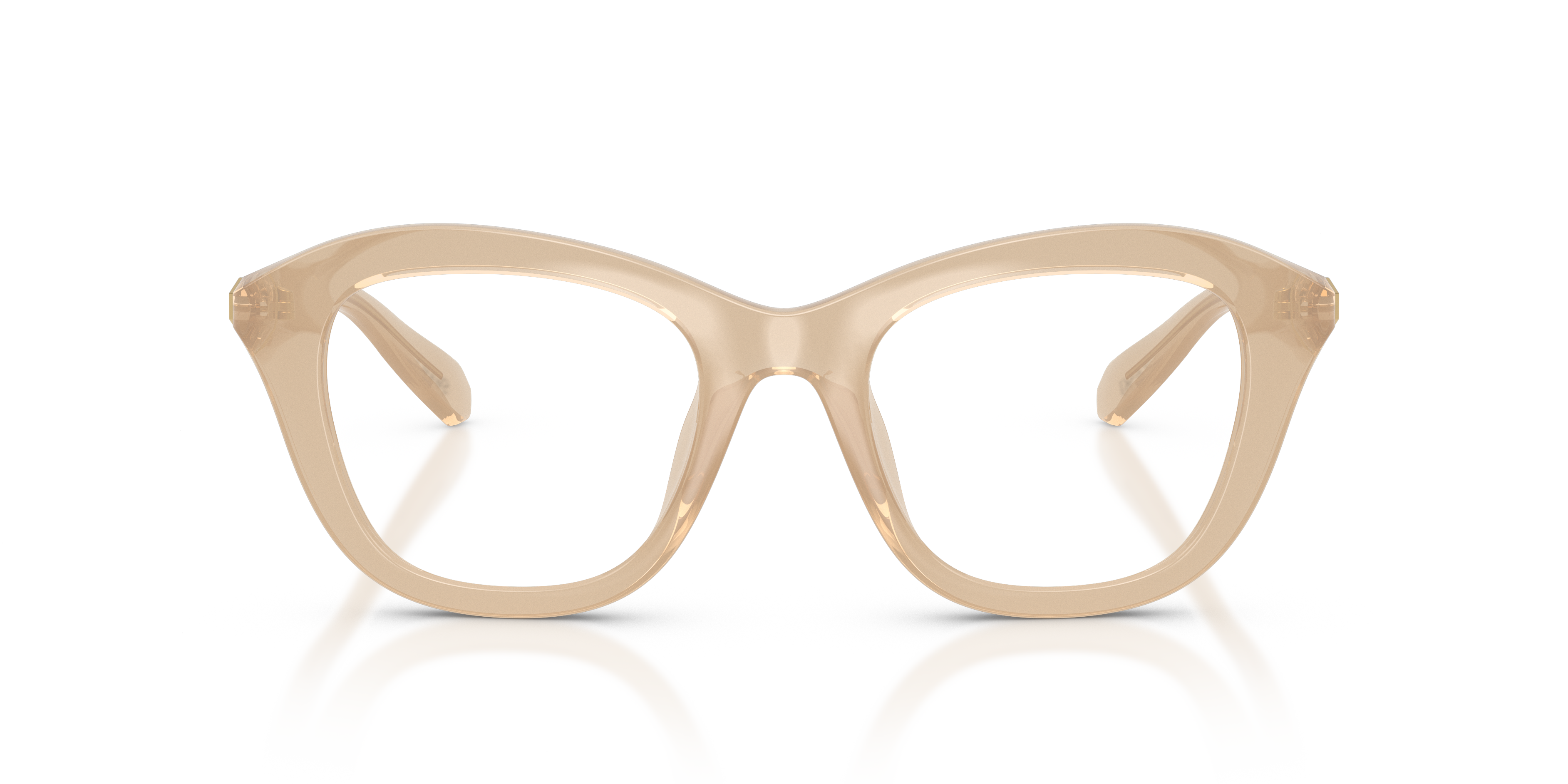 Gafas de Sol Swarovski SK2042U 1034 48 20
