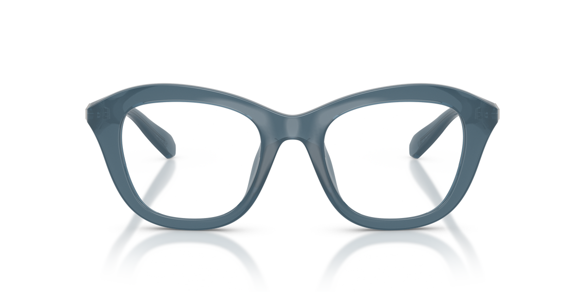 Gafas de Sol Swarovski SK2042U 1035 50 20