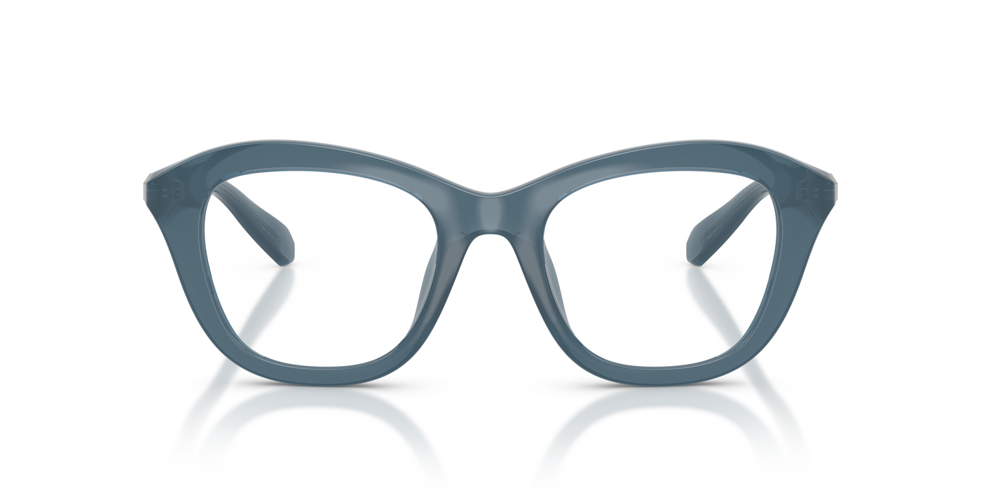 Gafas de Sol Swarovski SK2042U 1035 48 20