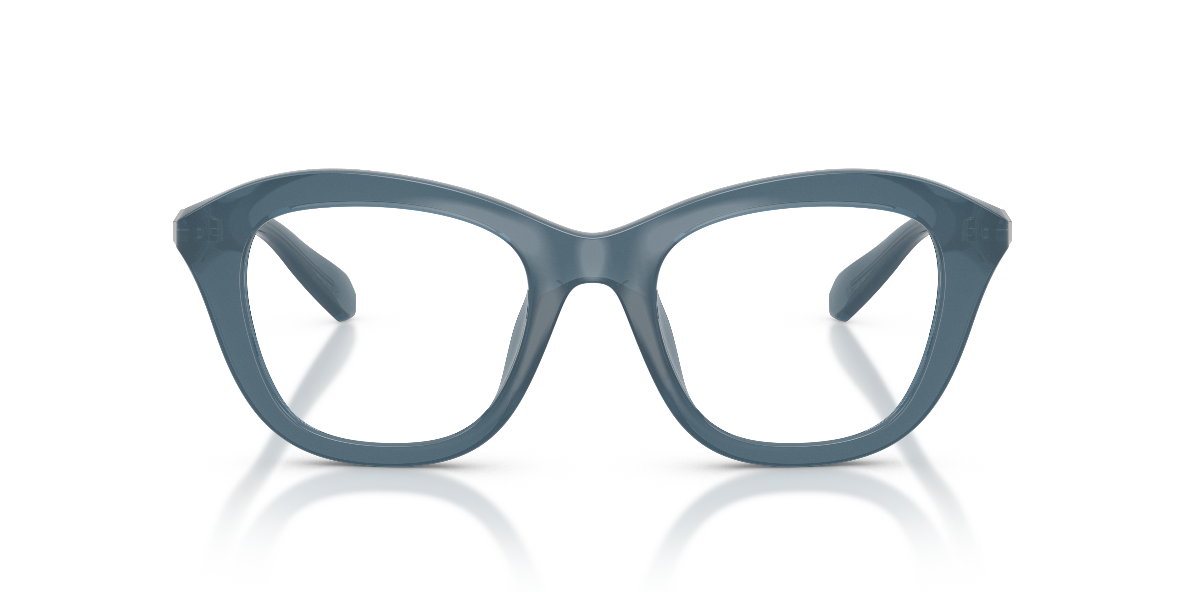 Gafas de Sol Swarovski SK2042U 1035 50 20