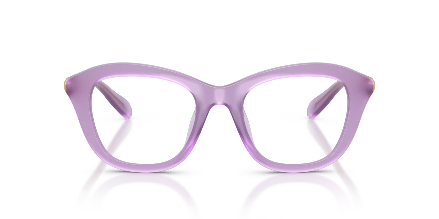 Gafas de Sol Swarovski SK2042U 1075 50 20