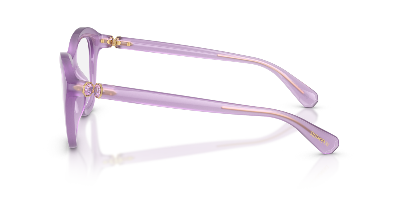 Gafas de Sol Swarovski SK2042U 1075 50 20
