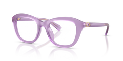 Gafas de Sol Swarovski SK2042U 1075 50 20