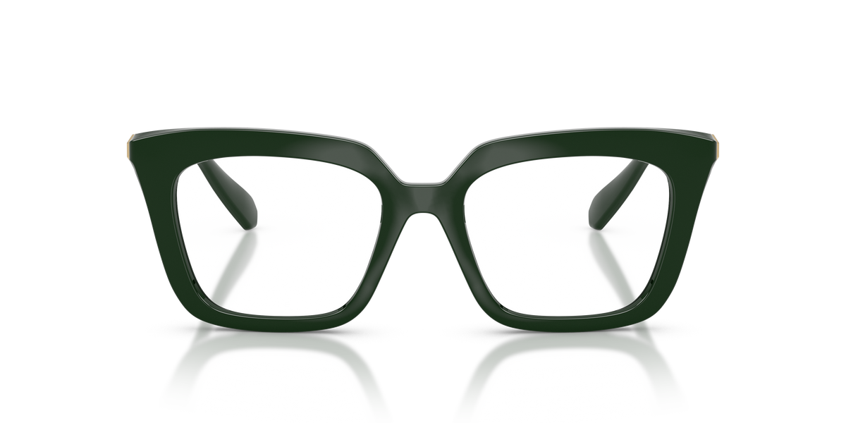 Gafas de Sol Swarovski SK2043 1026 51 18
