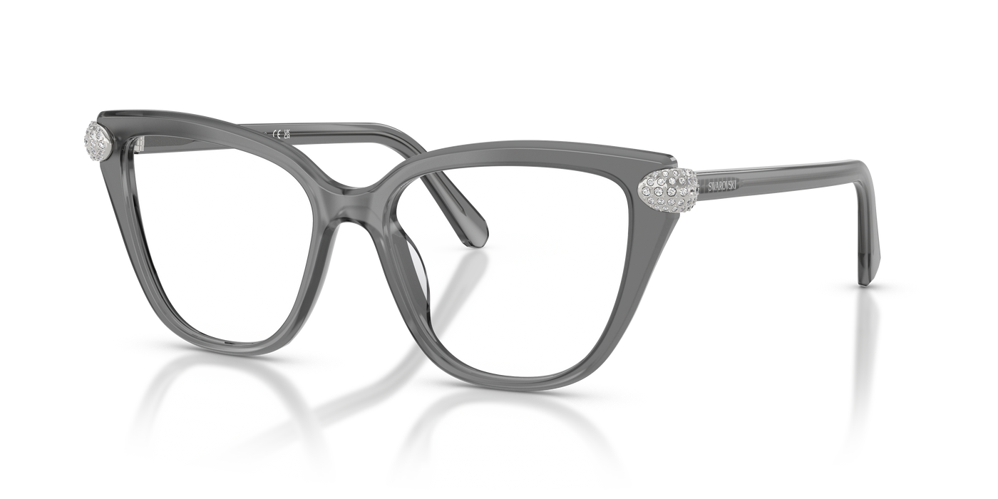 Gafas de Sol Swarovski SK2045 1072 52 16