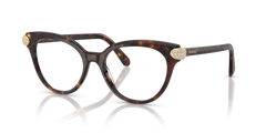 Prescription Glasses Swarovski SK2046 1002 53 17