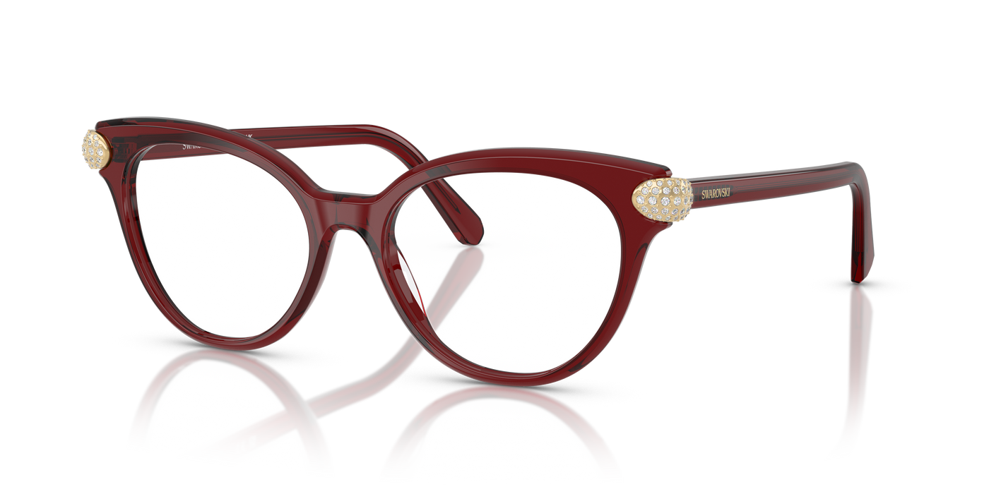 Gafas Graduadas Swarovski SK2046 1073 53 17