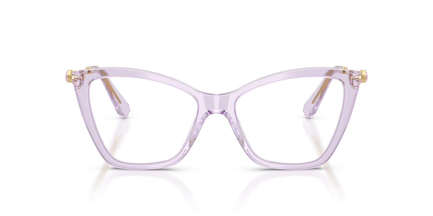 Gafas de Sol Swarovski SK2051 1079 53 16