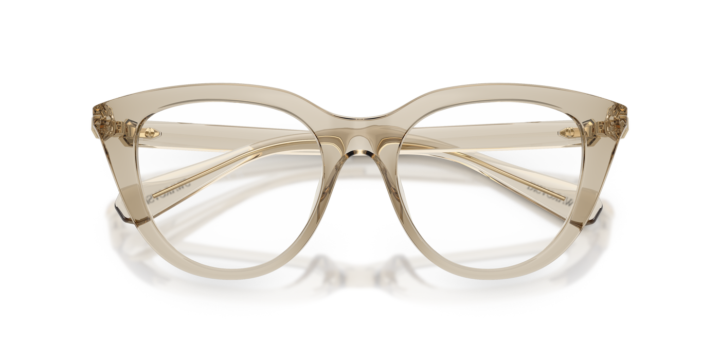 Gafas Graduadas Swarovski Sk2052 SK2052 3003 51 18