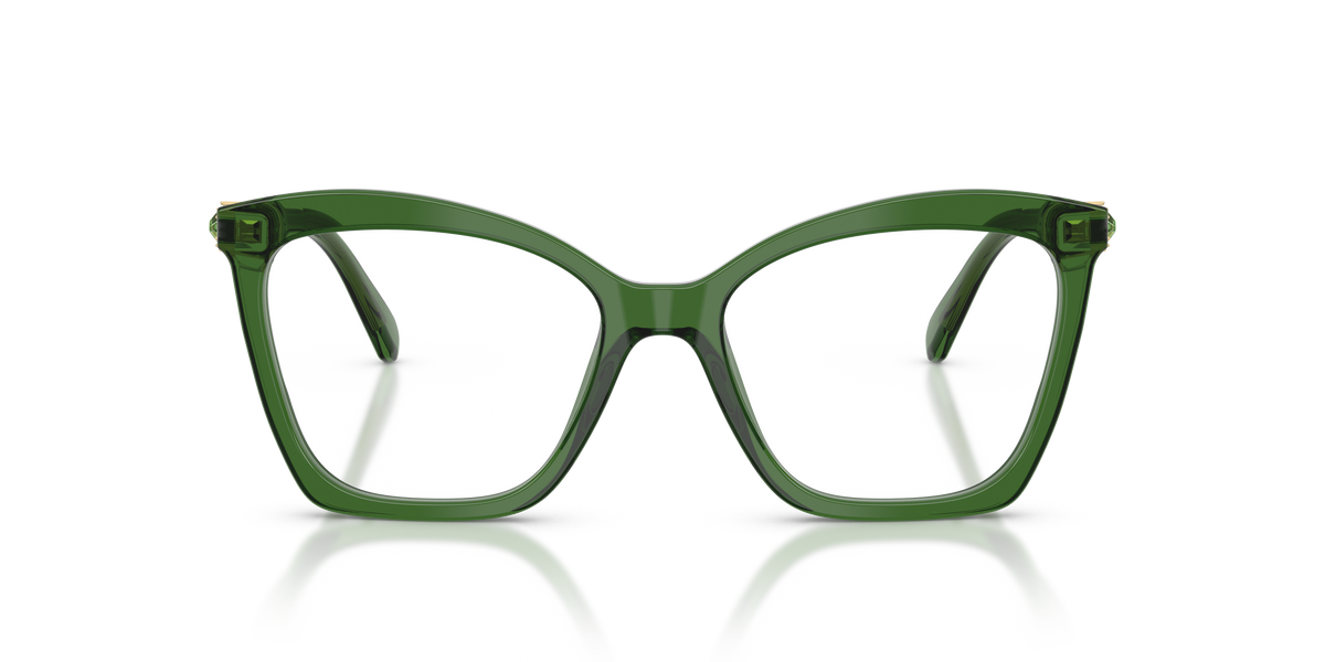 Gafas de Sol Swarovski SK2053 1081 52 17