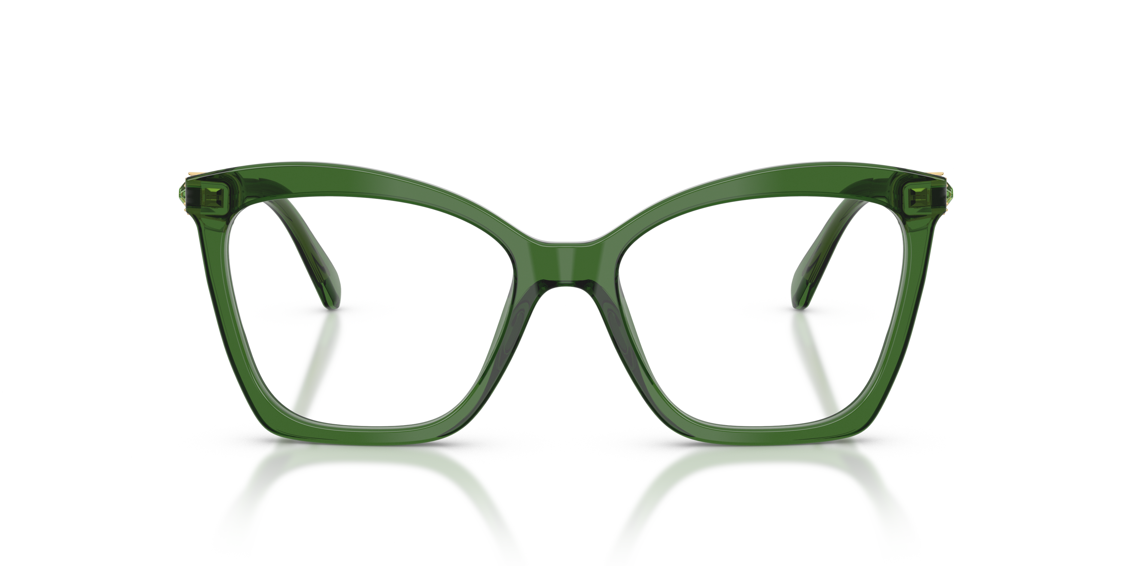 Gafas de Sol Swarovski SK2053 1081 54 17