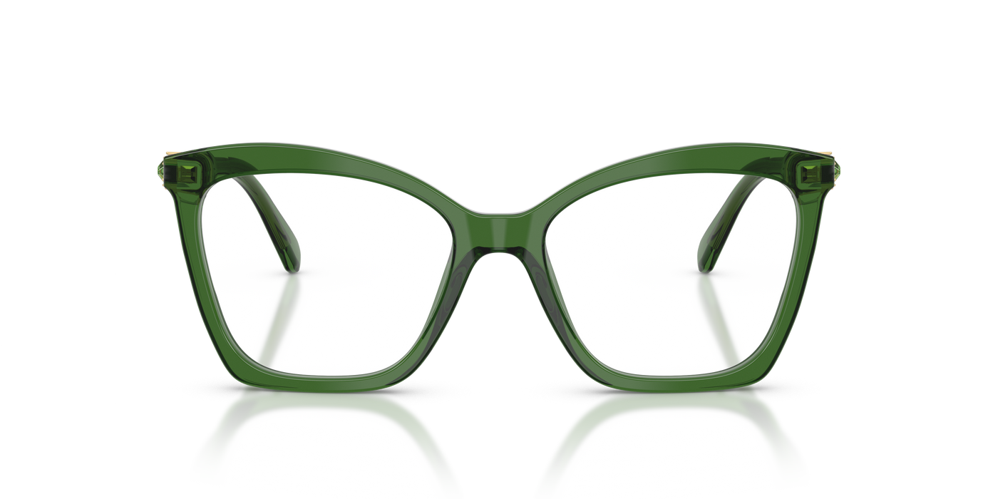 Gafas de Sol Swarovski SK2053 1081 52 17