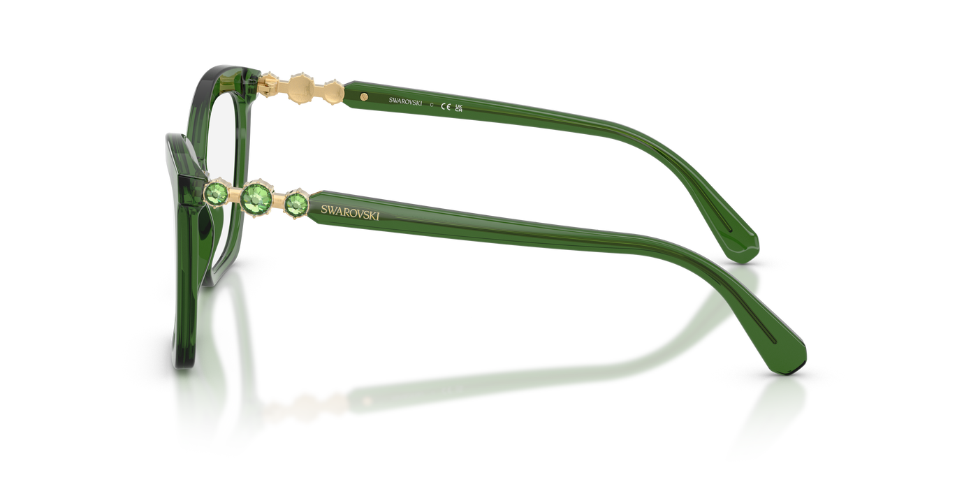 Gafas de Sol Swarovski SK2053 1081 52 17