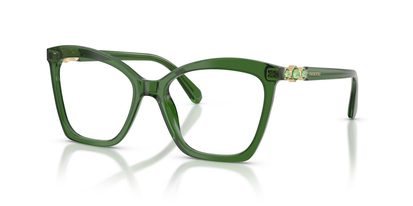 Gafas de Sol Swarovski SK2053 1081 52 17