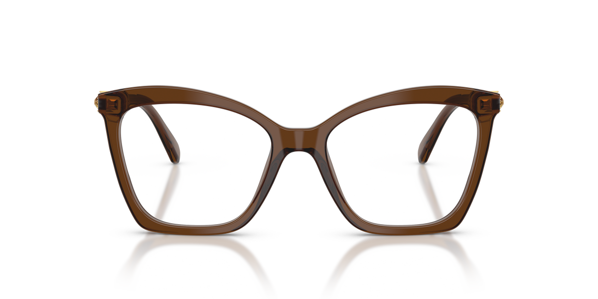 Gafas de Sol Swarovski SK2053 1084 54 17