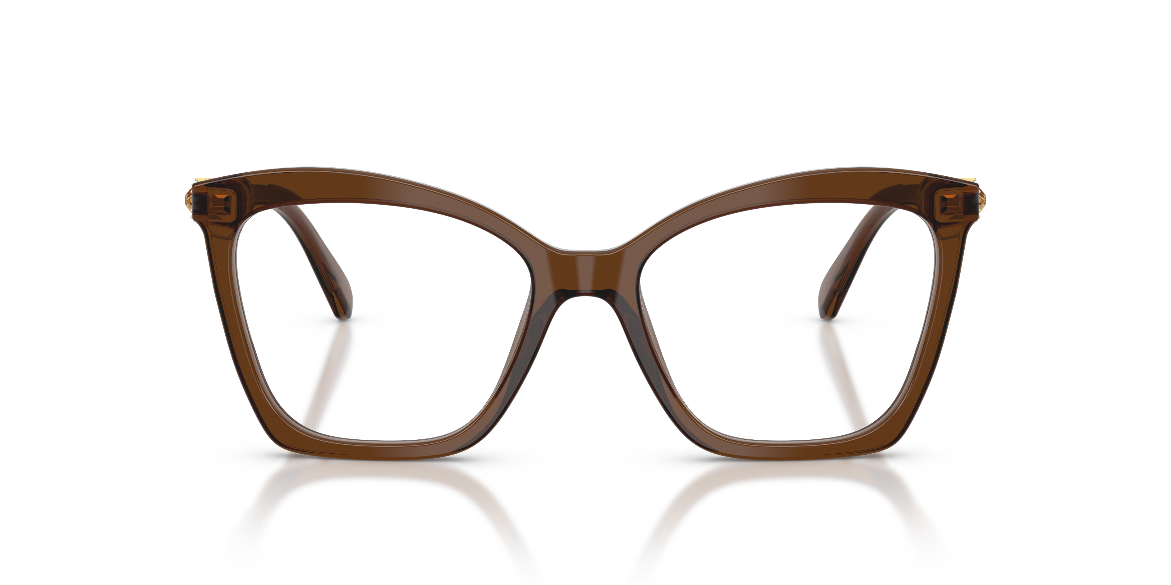 Gafas de Sol Swarovski SK2053 1084 54 17