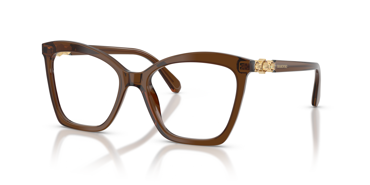 Gafas de Sol Swarovski SK2053 1084 52 17