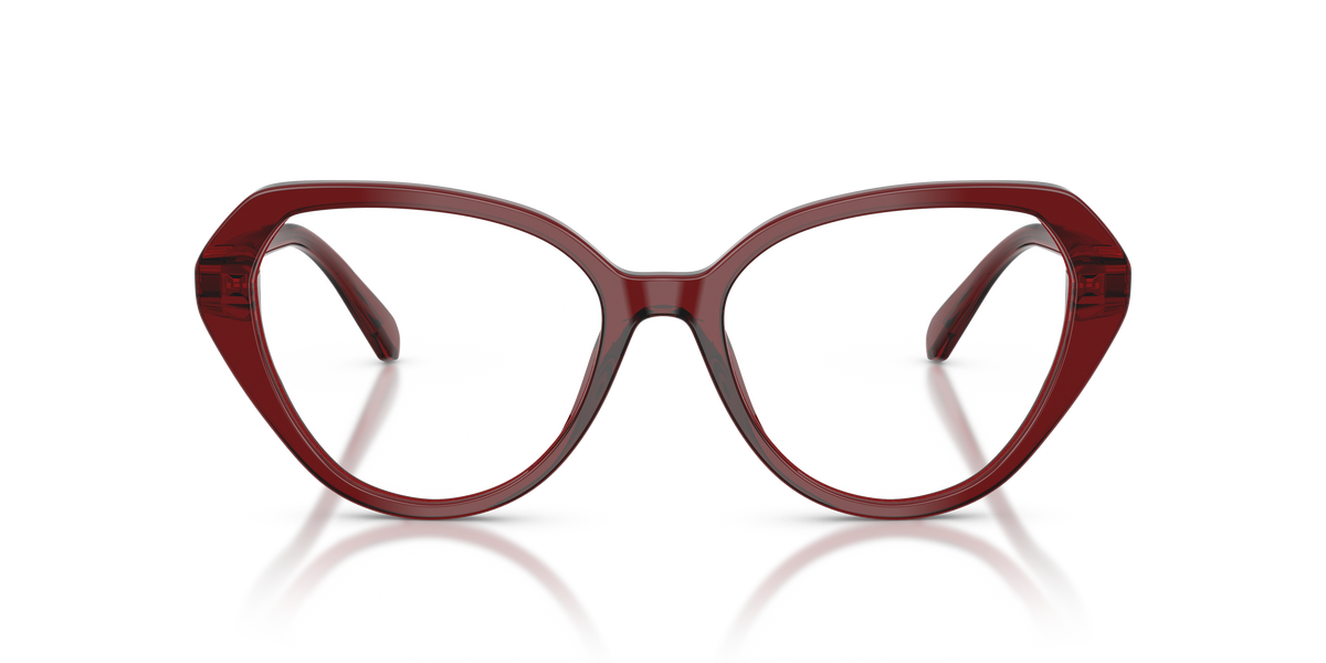 Gafas de Sol Swarovski SK2054 1073 53 17