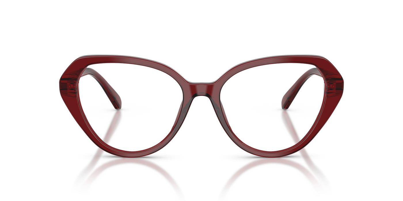 Gafas de Sol Swarovski SK2054 1073 55 17
