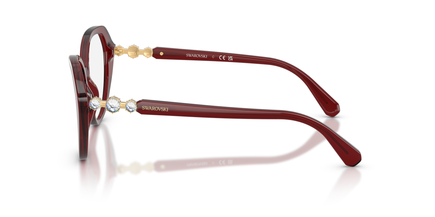 Gafas de Sol Swarovski SK2054 1073 55 17
