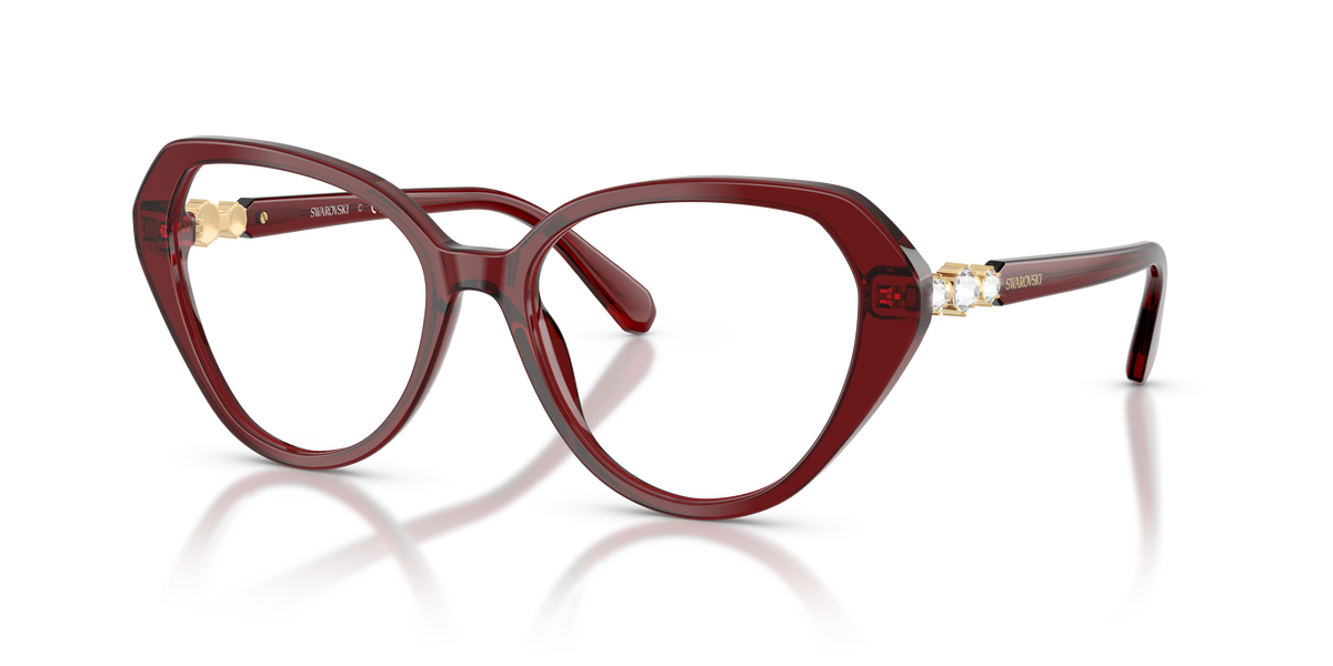 Gafas de Sol Swarovski SK2054 1073 53 17