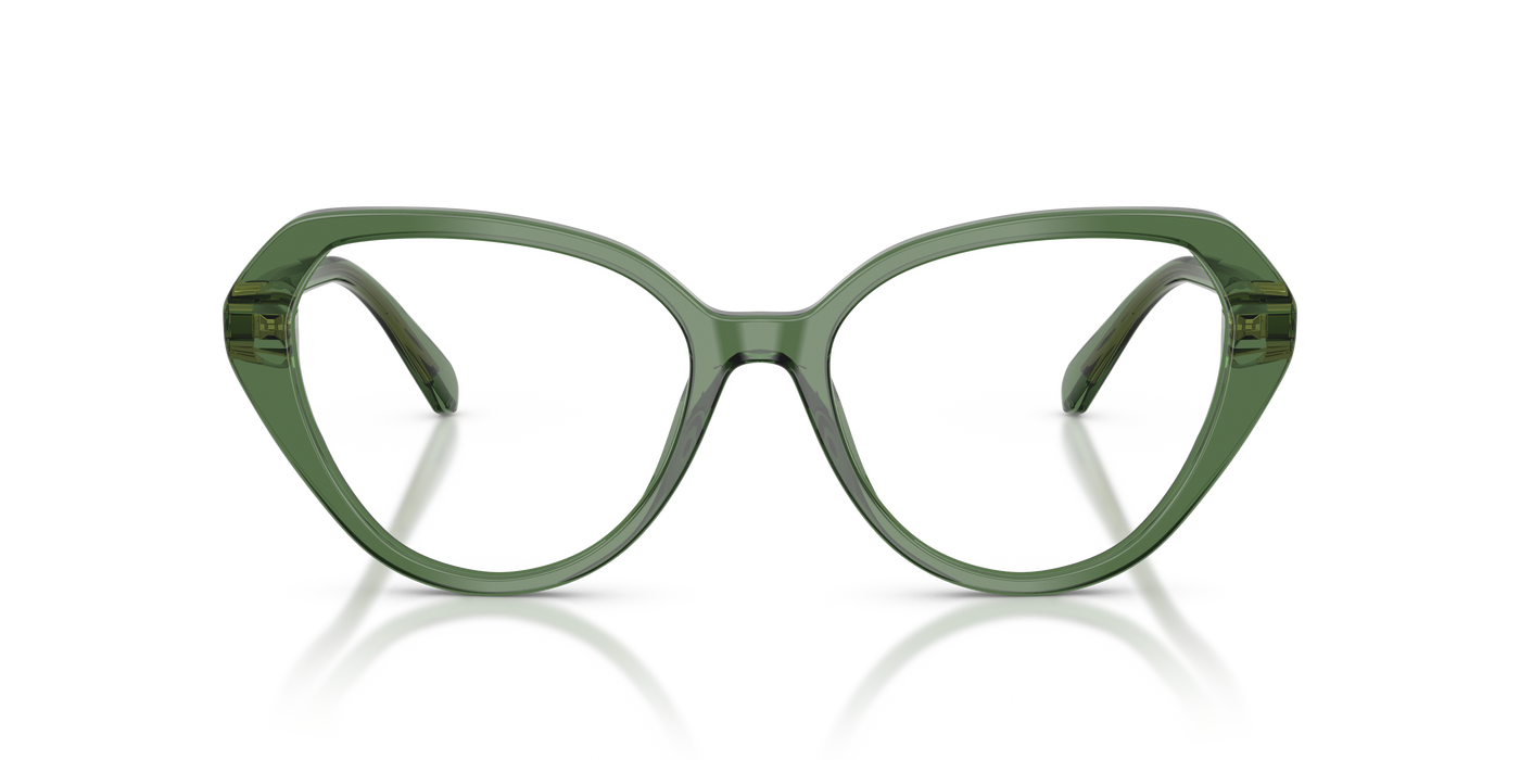 Gafas de Sol Swarovski SK2054 1085 53 17